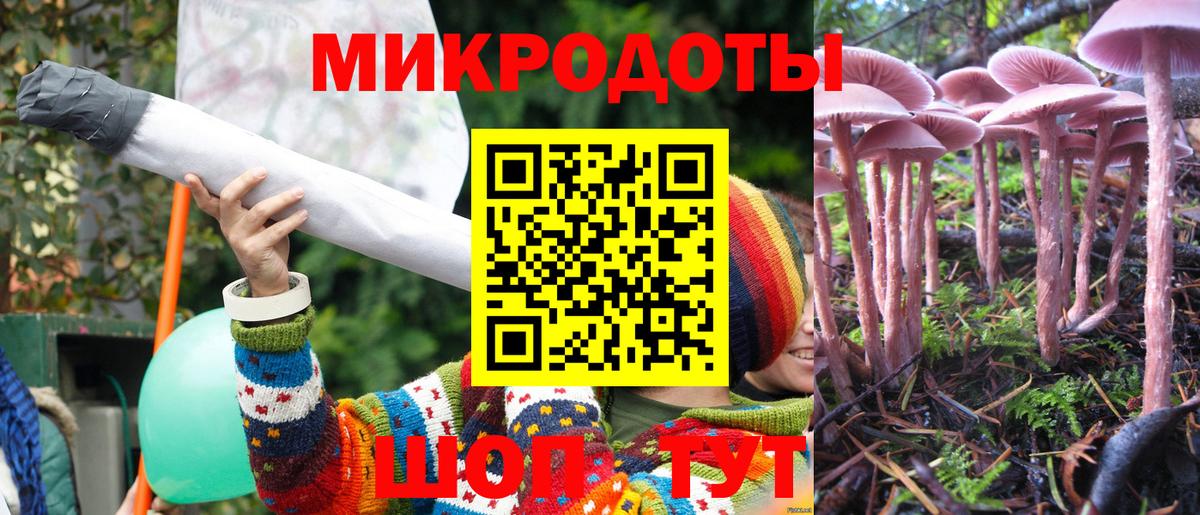 Псилоцибиновые грибы прущие грибы Анжеро-Судженск